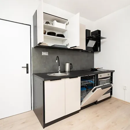 Apartment Karpatska