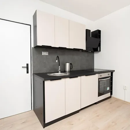 Apartment Karpatska *