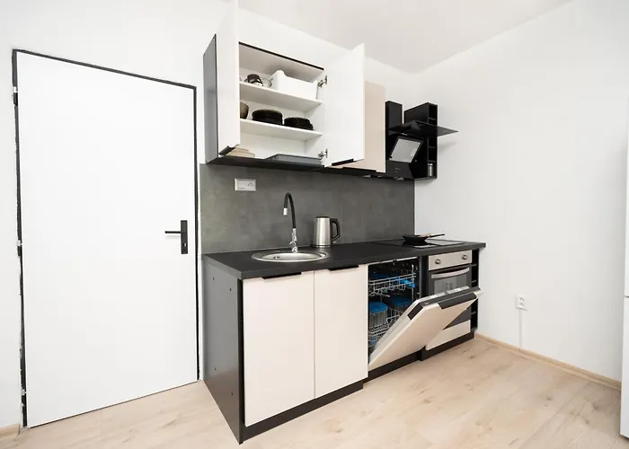 Karpatska Apartament
