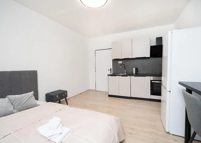 Karpatska Apartament *