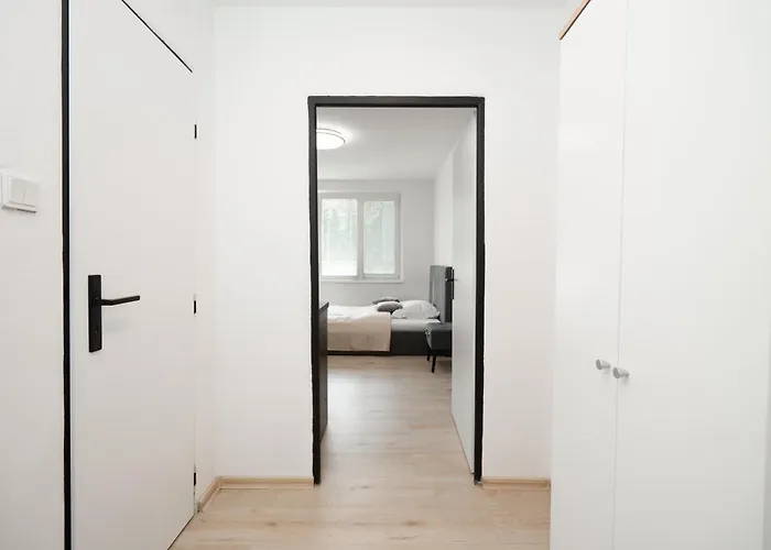 Apartment Karpatska